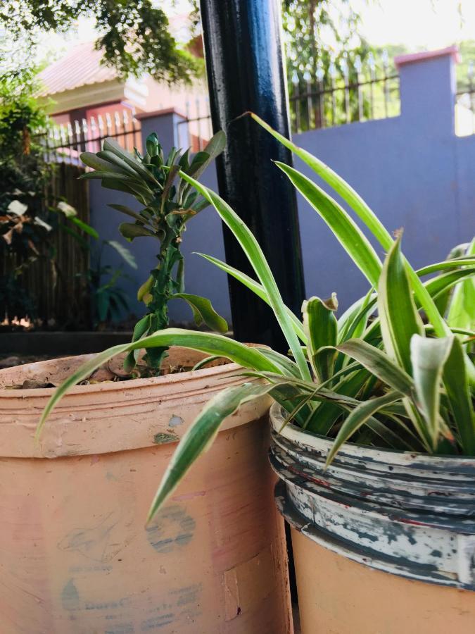 Ava Garden Backpackers Διαμέρισμα Mto wa Mbu Εξωτερικό φωτογραφία