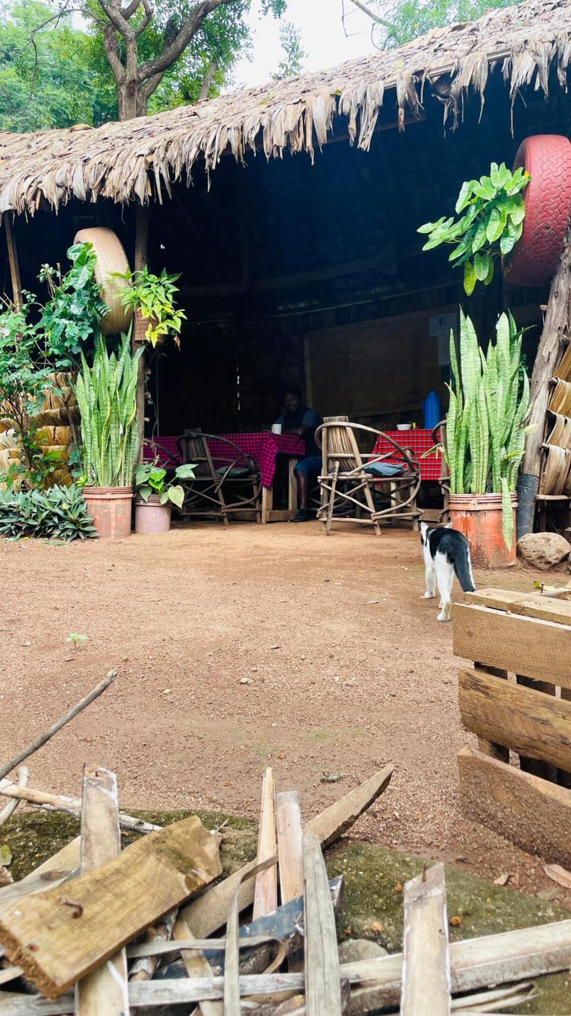 Ava Garden Backpackers Διαμέρισμα Mto wa Mbu Εξωτερικό φωτογραφία